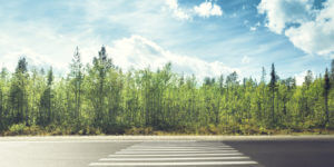 10 Tips for Designing Effective Outdoor Banners