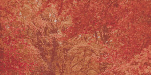 A No-Stress Fall Sermon Plan