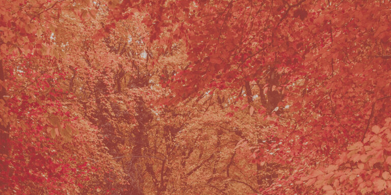 A No-Stress Fall Sermon Plan