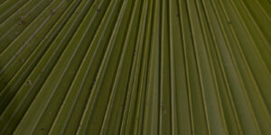 How to Prepare Your Church for a Powerful Easter Season