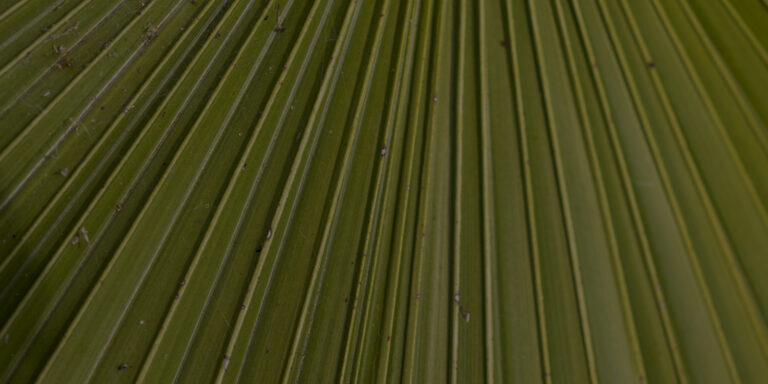 How to Prepare Your Church for a Powerful Easter Season