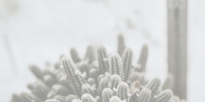 Now & Later - 4 new ways to update your church