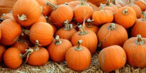 Church Fall Festival Ideas