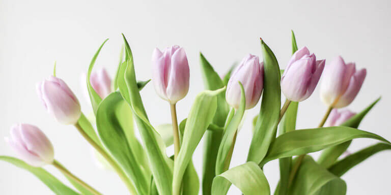 Mother's Day Ideas for Church